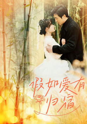 假如爱有归宿（73集）短剧热门分享