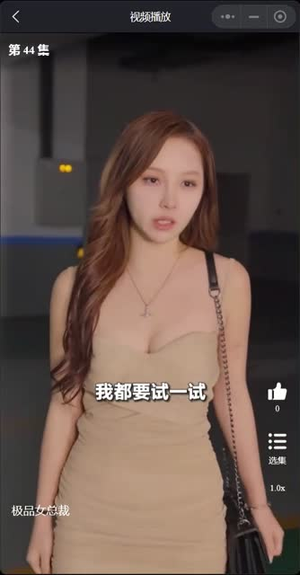我的富豪美女总裁(我的极品女总裁) 我的富豪美女总裁(我的极品女总裁)免费短剧合集