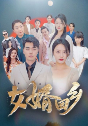 女婿回乡（120集）剧好看短剧推荐