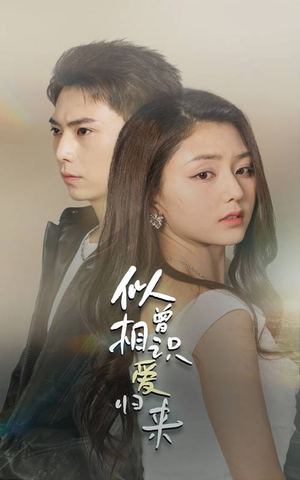 似曾相识爱归来(77集) 似曾相识爱归来(77集)免费短剧资源