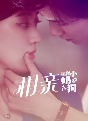 相亲遇到小奶狗(80集) 相亲遇到小奶狗(80集)在哪看免费