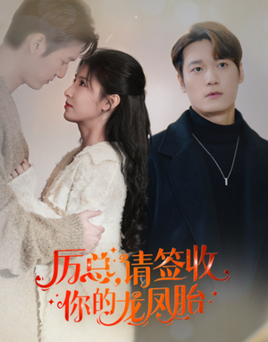 历总,请签收你的龙凤胎(69集) 历总,请签收你的龙凤胎(69集)短剧推荐上热门