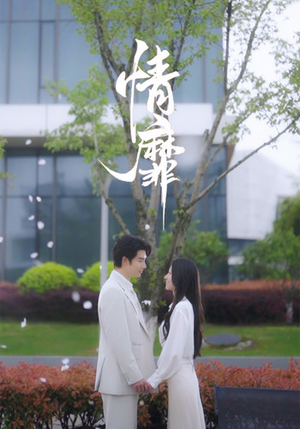 情靡（92集）在哪里看