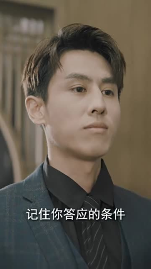 重生后我在商界席卷风云(100集) 重生后我在商界席卷风云(100集)热门短剧榜单