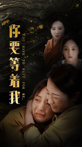 你要等着我(85集) 你要等着我(85集)免费短剧大全