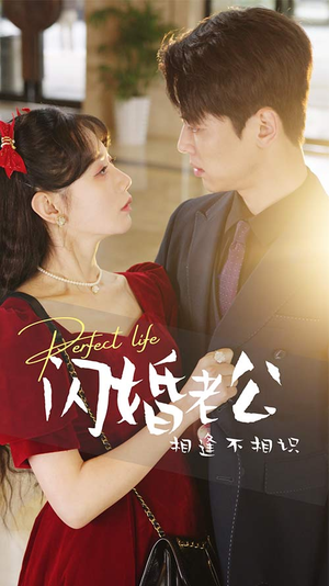 闪婚老公相逢不相识(90集) 闪婚老公相逢不相识(90集)在线观看完整版