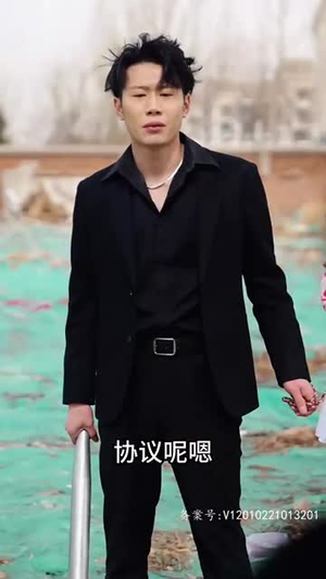 28.系统提示您的钱已到账（100集）女主谁演的