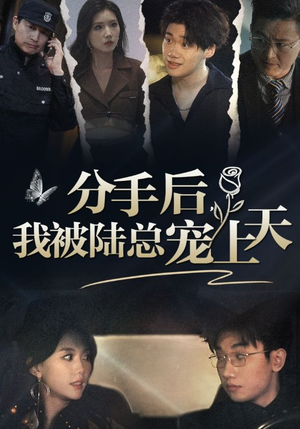 分手后，我被陆总宠上天（76集）番茄短剧免费看