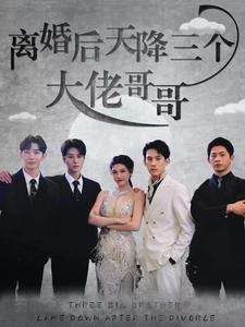 离婚后天降三个大佬哥哥(83集) 离婚后天降三个大佬哥哥(83集)精彩短剧天天看