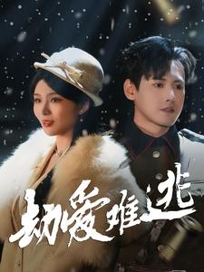 24.劫爱难逃(30集) 24.劫爱难逃(30集)超火热门短剧