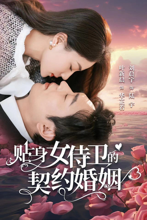 贴身女侍卫的契约婚姻(91集) 贴身女侍卫的契约婚姻(91集)高清画质免费看