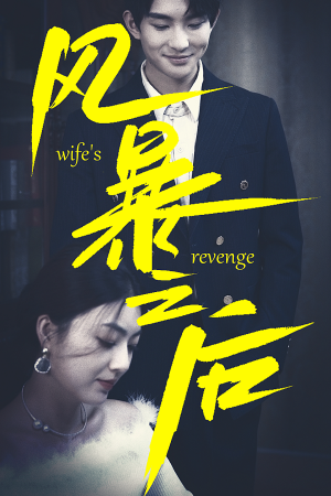 风暴之后(80集) 风暴之后(80集)精彩短剧随心推