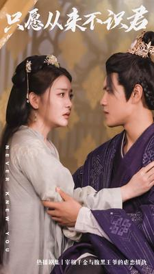 只愿从来不识君(80集) 只愿从来不识君(80集)女频短剧推荐
