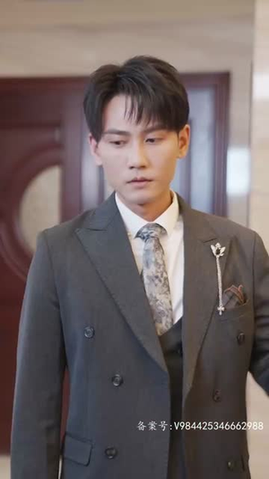 赘婿天子（91集）高分推荐免费看