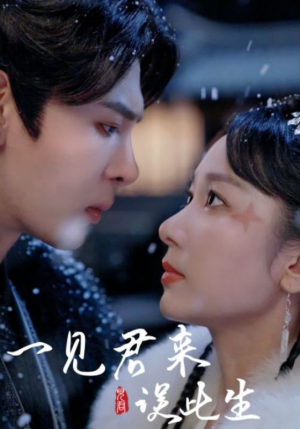 一见君来误此生（95集）精彩短剧随心推