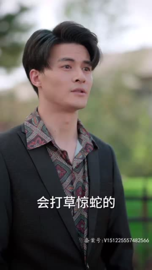 替嫁傻女是大佬(69集) 替嫁傻女是大佬(69集)短剧更新抢先看