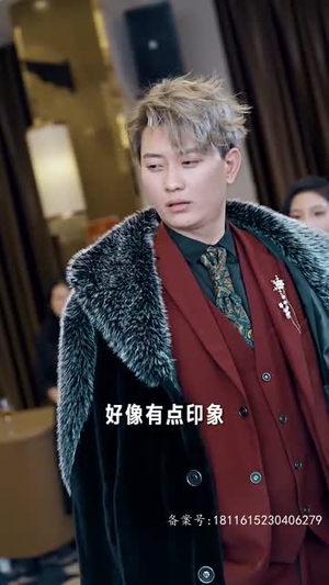 暗龙殿(100集) 暗龙殿(100集)第32集