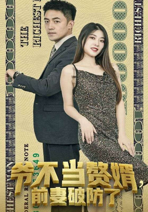 爷不当赘婿，前妻破防了（80集）夸克在线观看