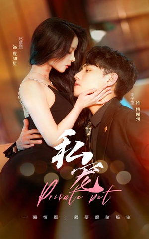 私宠(94集) 私宠(94集)女频短剧推荐