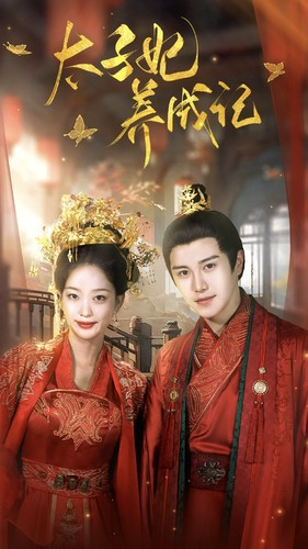 太子妃养成记(97集) 太子妃养成记(97集)在线看免费版