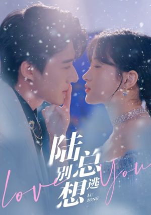 陆总别想逃(80集) 陆总别想逃(80集)在线看