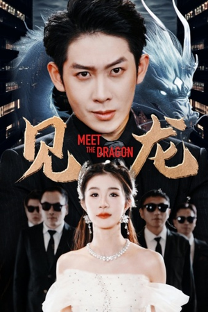 见龙(78集) 见龙(78集)热门短剧推荐。