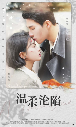 温柔沦陷(50集) 温柔沦陷(50集)好看到停不下来