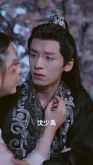 失明王妃杀心归来（80集）短剧介绍