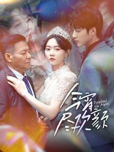 今宵尽欢颜（99集）短剧太精彩