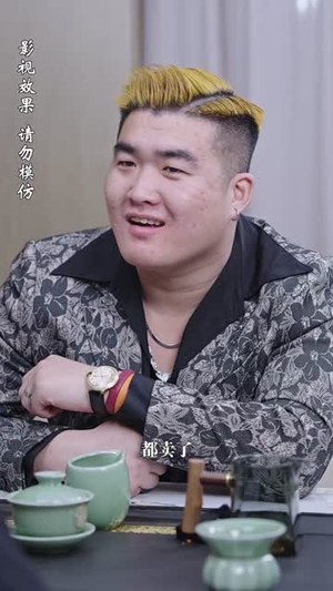 北城往事之风起云涌（60集）追短剧太上头了