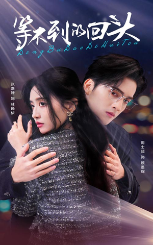 等不到的回头(35集) 等不到的回头(35集)好看吗