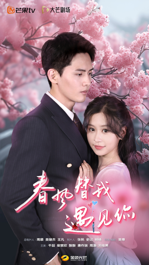 春风替我遇见你（100集）免费版