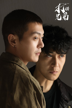 打拐兄弟（30集）网络小短剧