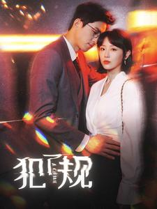 犯了规（96集）高分推荐免费看