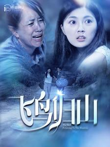 飞鸟归山(100集) 飞鸟归山(100集)剧情简介