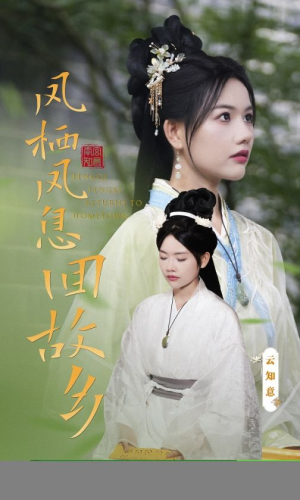 凤栖凤息回故乡(36集) 凤栖凤息回故乡(36集)UC网盘在线看