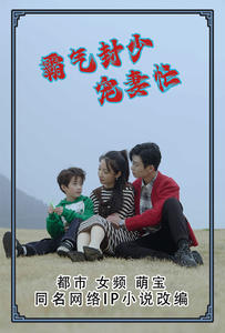 霸气封少宠妻忙（80集）爆款短剧一起追