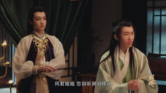 凤婿(28集) 凤婿(28集)在线观看