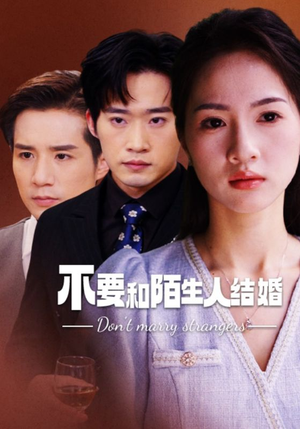 不要和陌生人结婚(90集) 不要和陌生人结婚(90集)真的太好看了