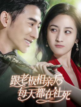 跟老板相亲后每天都在社死（83集）全集免费看短剧