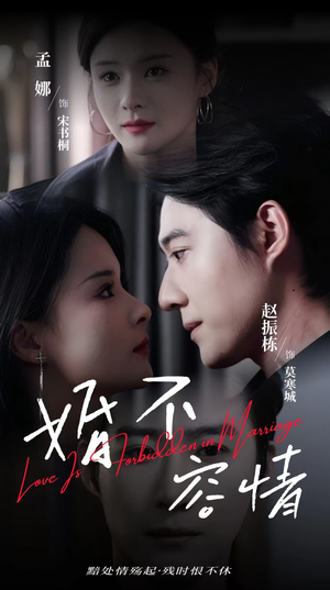 婚不容情(89集) 婚不容情(89集)一口气看完