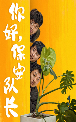 你好,保安队长(85集) 你好,保安队长(85集)分享好看短剧