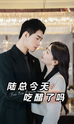 陆总今天吃醋了吗（50集）最近很火的短剧