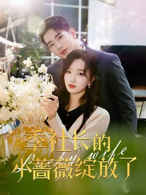 季社长的小蔷薇绽放了（60集）爆款短剧推荐