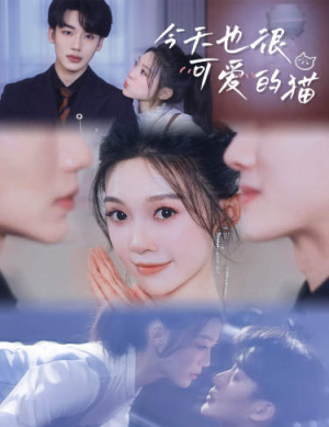 今天也很可爱的猫(72集) 今天也很可爱的猫(72集)独家资源免费看