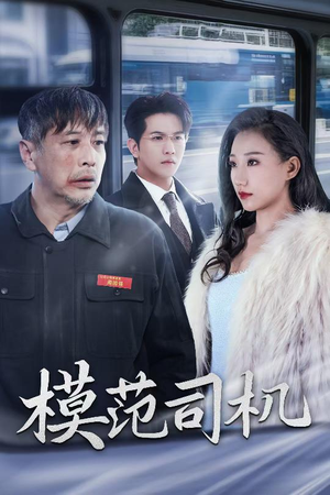 模范司机（30集）在线免费观看