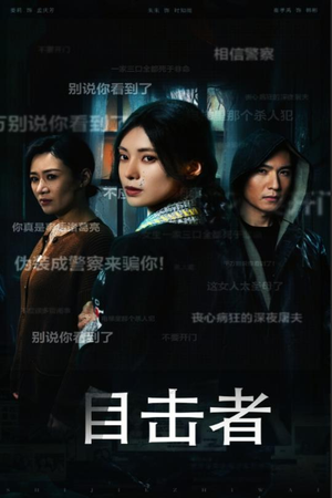 目击者&深夜伪装（30集）在哪里可以看