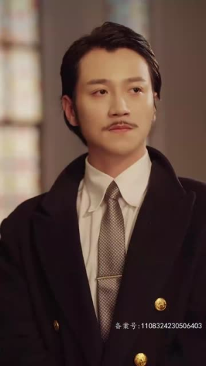 浩气长存（100集）热门短剧大全