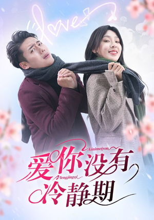 爱你没有冷静期（32集）百度在线观看