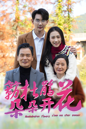 簕杜鹃花朵朵开(38集) 簕杜鹃花朵朵开(38集)全集我都看完了